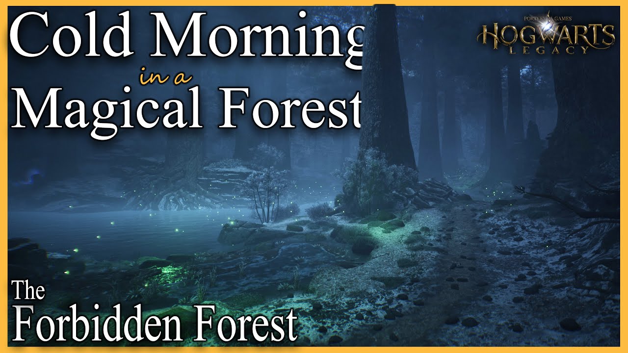 Cold Morning in The Forbidden Forest • Magical Sound Ambience Hogwarts legacy