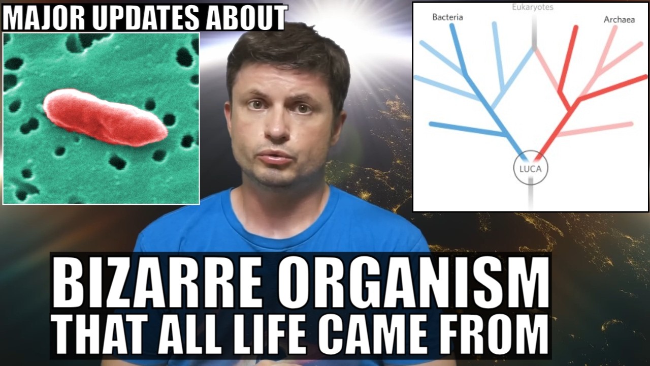 Major Discoveries About LUCA - Organism All Life Evolved From