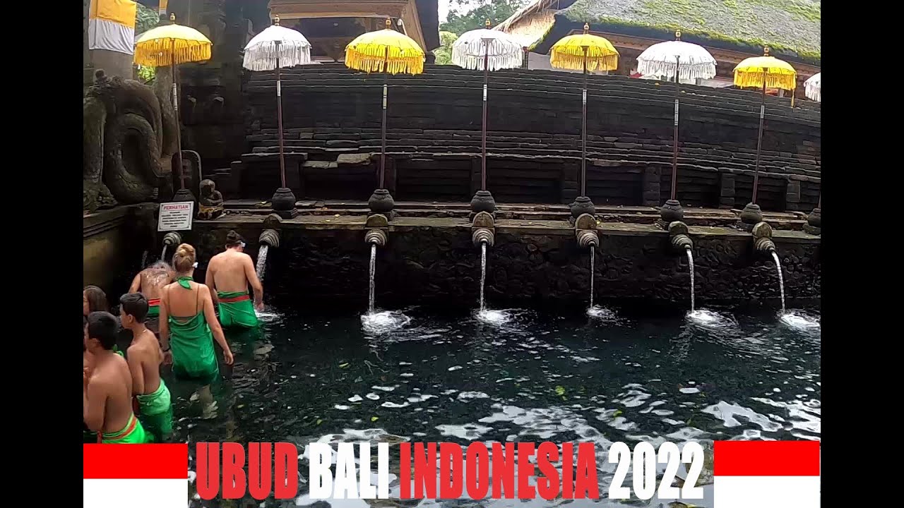 UBUD 🇲🇨 BALI 🇲🇨 INDONESIA OCT 2022