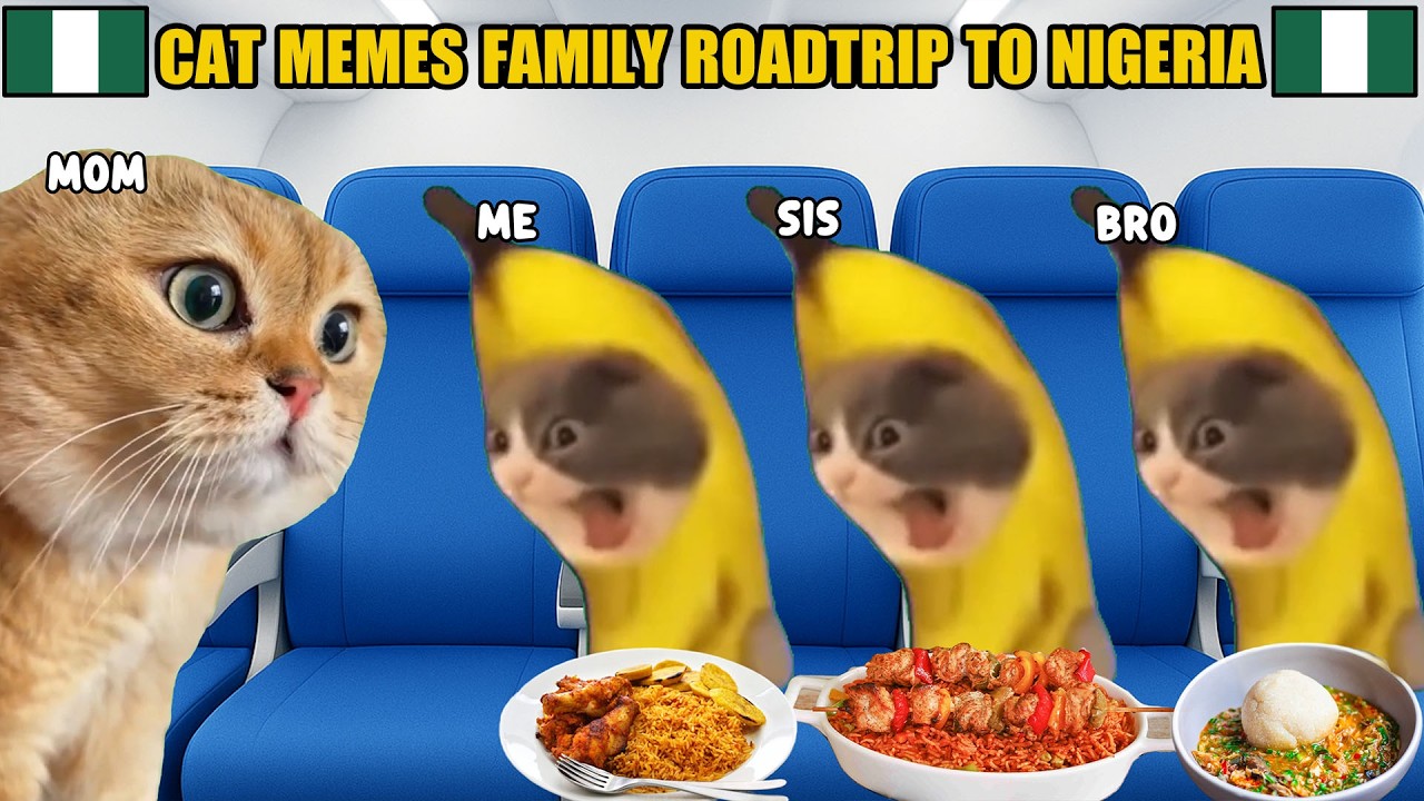 CAT MEMES: FAMILY ROADTRIP TO NIGERIA