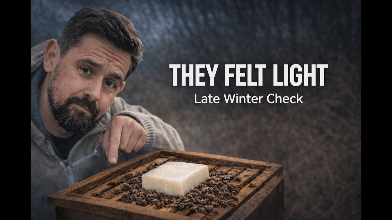 Field Notes #4 – Checking Winter Stores (A Close Call) 13.02.26