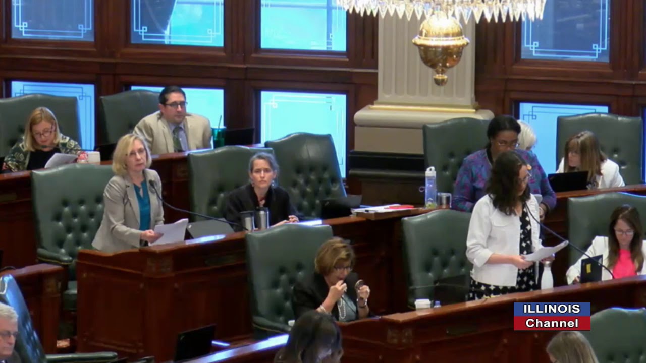 First Hour of House Debate on Abortion Law Rewrite (May 2019)