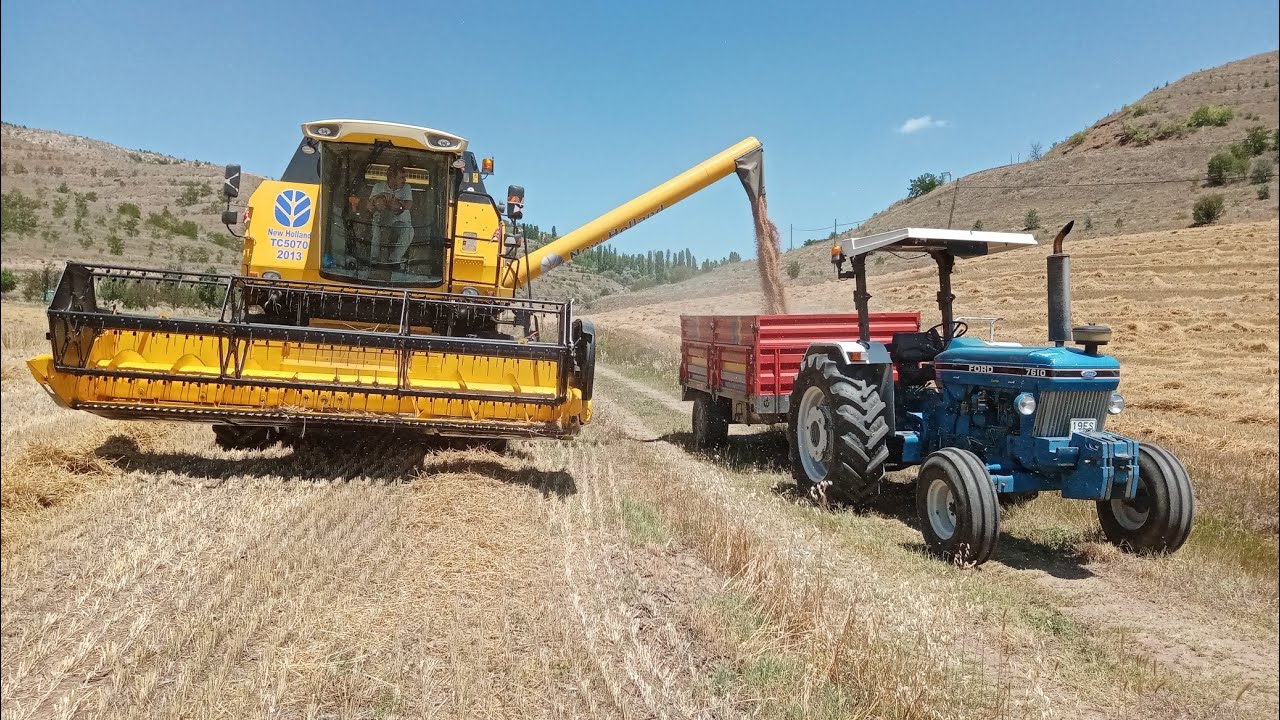 TC 5070 #FORD7610 #buğday hasadı