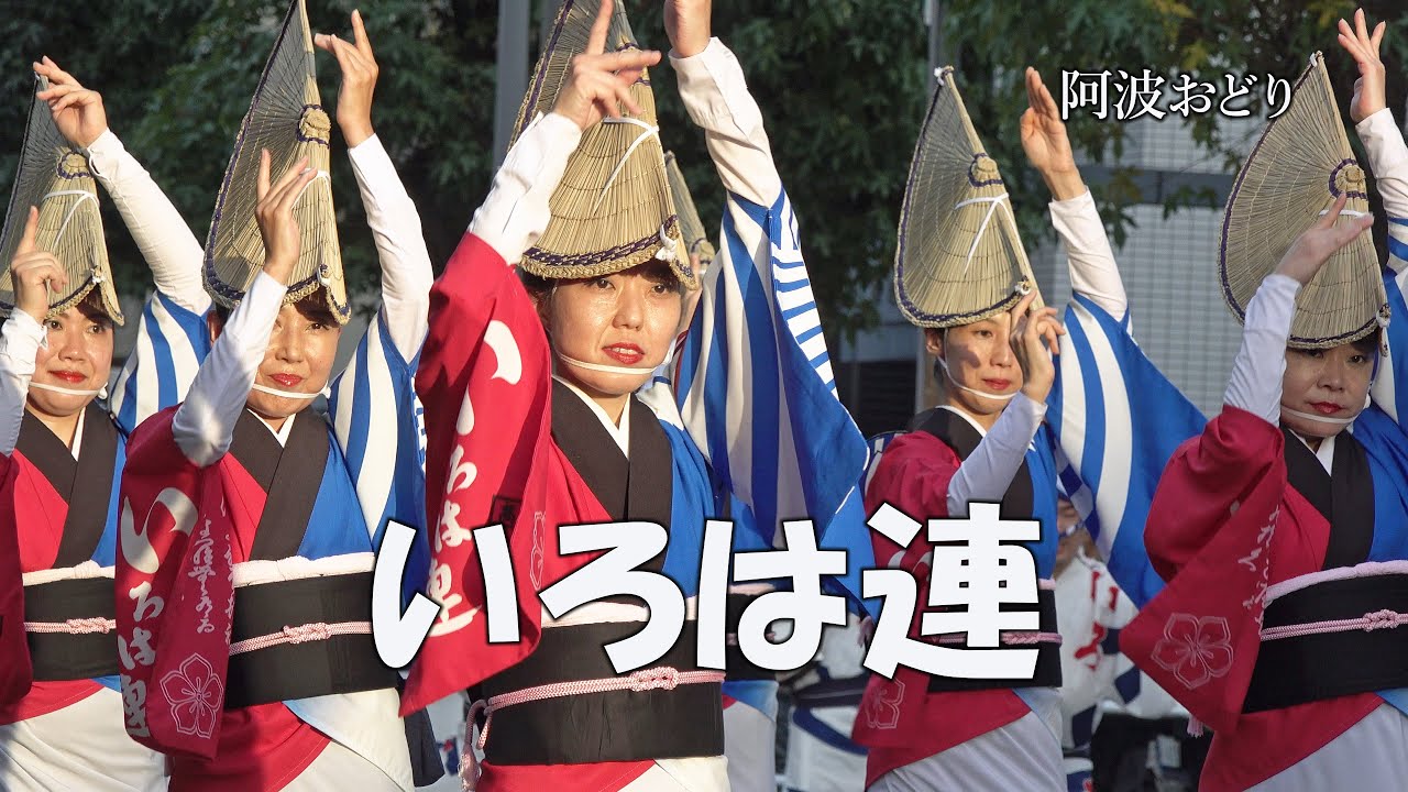 【阿波踊り2025】「いろは連」Awa Odori Dance - 第2回高一中央通り商店会阿波踊り（2025.9.14）