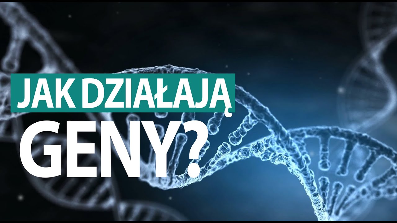 Jak działa człowiek? #GENY (tłumaczenie PJM)