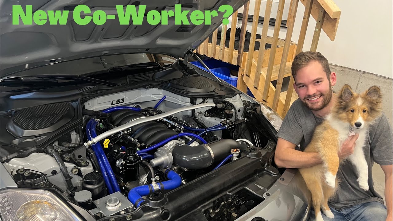 Сколько стоит правильная замена LS на вашем автомобиле? 350Z BUILD BREADDOWN