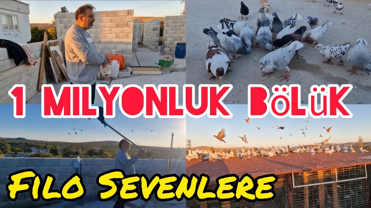 Bir Milyonluk Bölük Gaziantep'den Tüm filo güvercin Sevenlere özel#elvangüvercin#Murat Sözmen