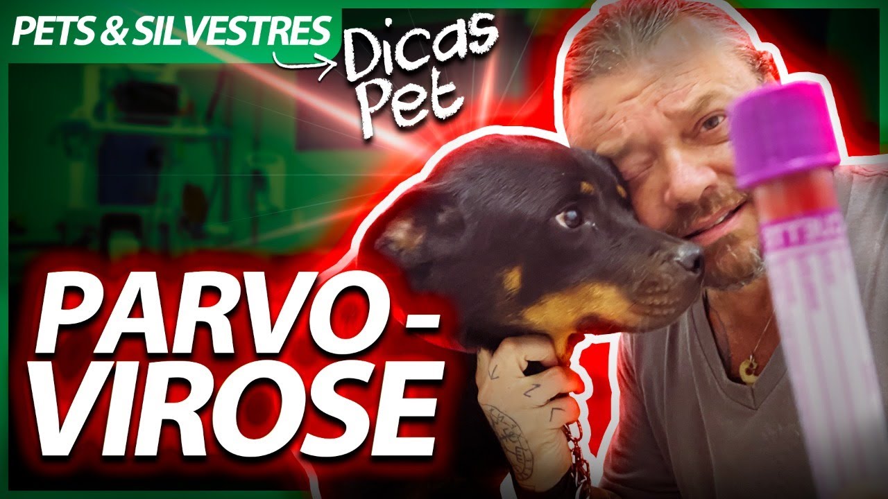 MINHA ROTTWEILER TEVE QUE SER INTERNADA! | RICHARD RASMUSSEN
