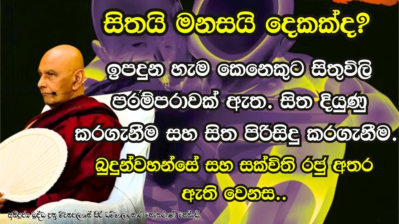 සිතයි මනසයි දෙකක්ද? ඉපදුන හැම කෙනෙකුට සිතුවිලි පරම්පරාවක් ඇත..