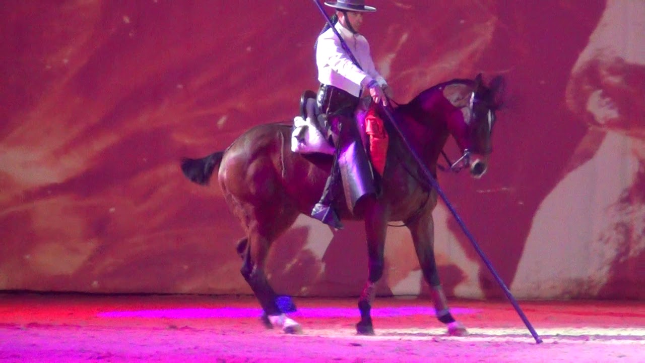 OLIVIER BOUTAUD ET ODIN DE THE  au MISEC de CHEVAL PASSION / AVIGNON 2018 .