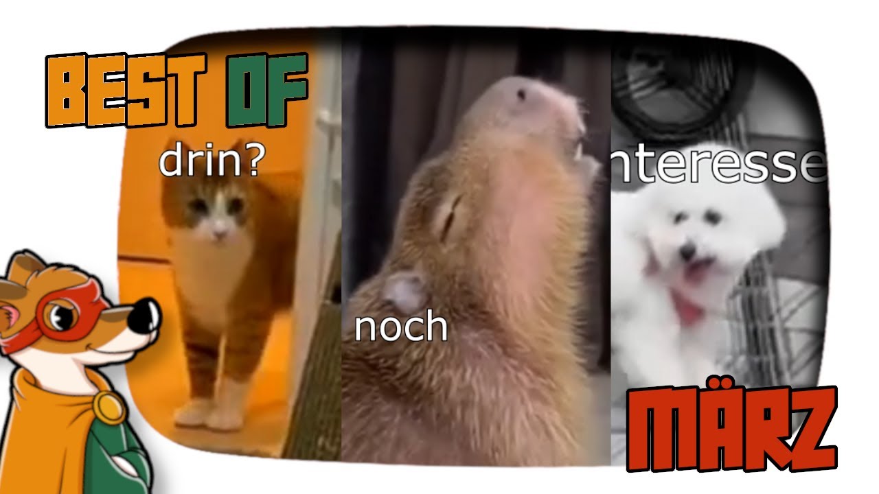 SPRECHENDE TIERE - BEST OF MÄRZ | 2homiedawgs