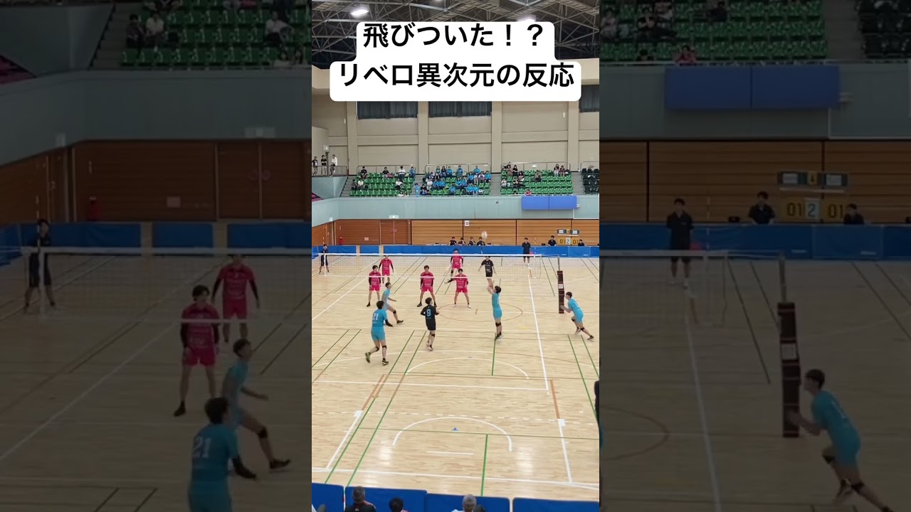駿台のリベロ毎年レベチすぎ。 #バレーボール #volleyball