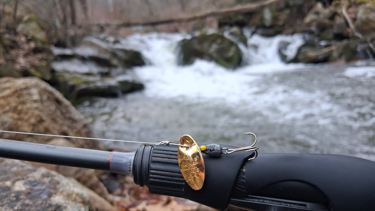 I Found the Fish in this Overlooked Tributary!!