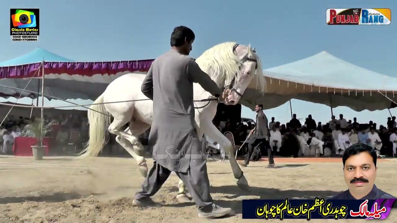 Ladla ll Haji Fazal Abbas Mahay ll Horse Dance ll Darbar Baba Khera Khazana ll 2023