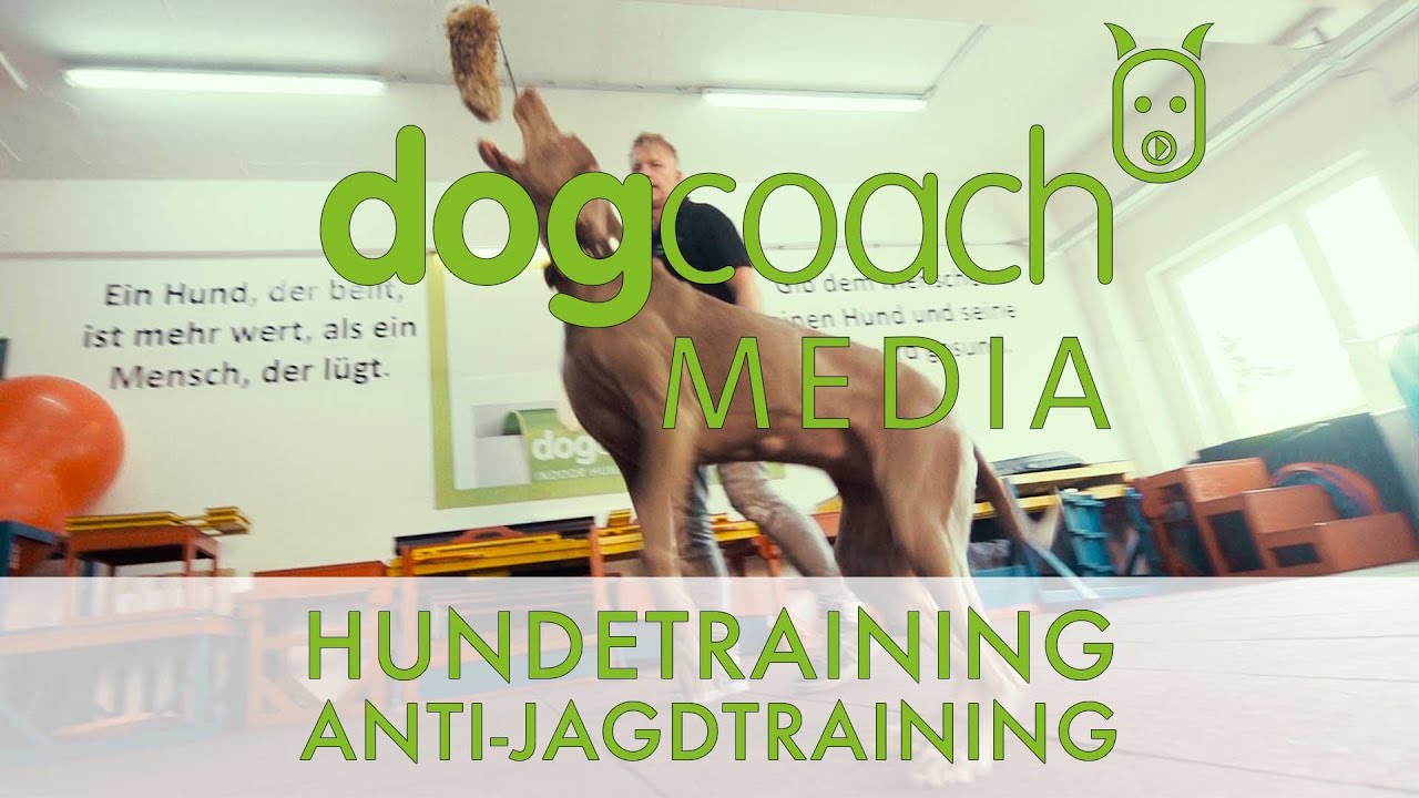 Hundetraining: Reizangel - F&uuml;r dein Anti-Jagdtraining