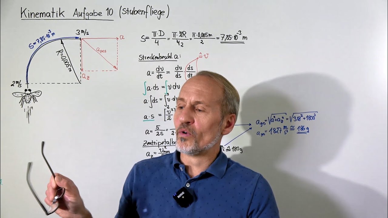 PHYSIK AUFGABEN (Kinematik) - Aufgabe 10: Gesamtbeschleunigung einer Stubenfliege