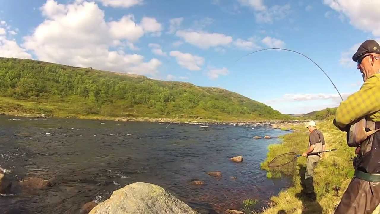 Singel hand rod in Rynda
