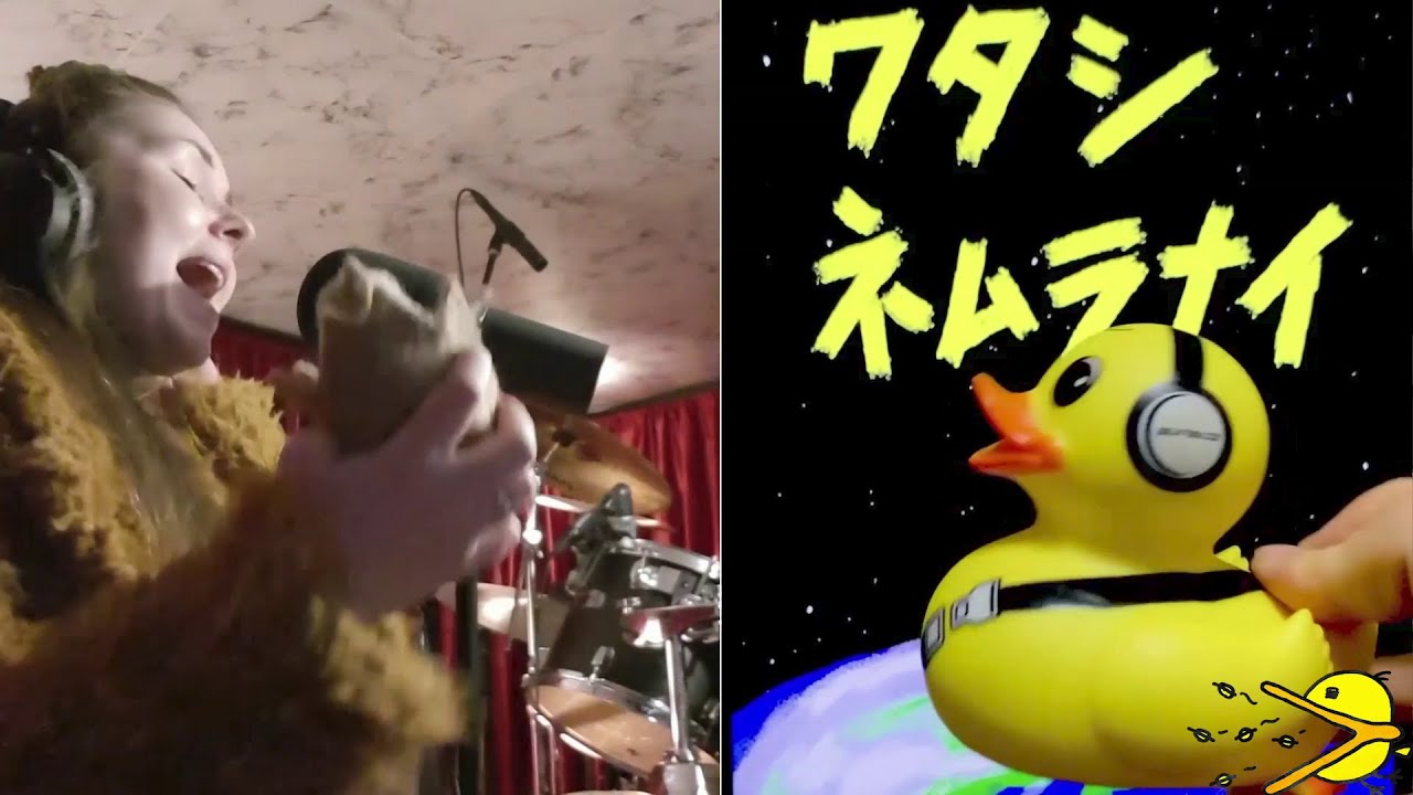 Session Starducks ライオン ひよこ動画(LION Duckling video)