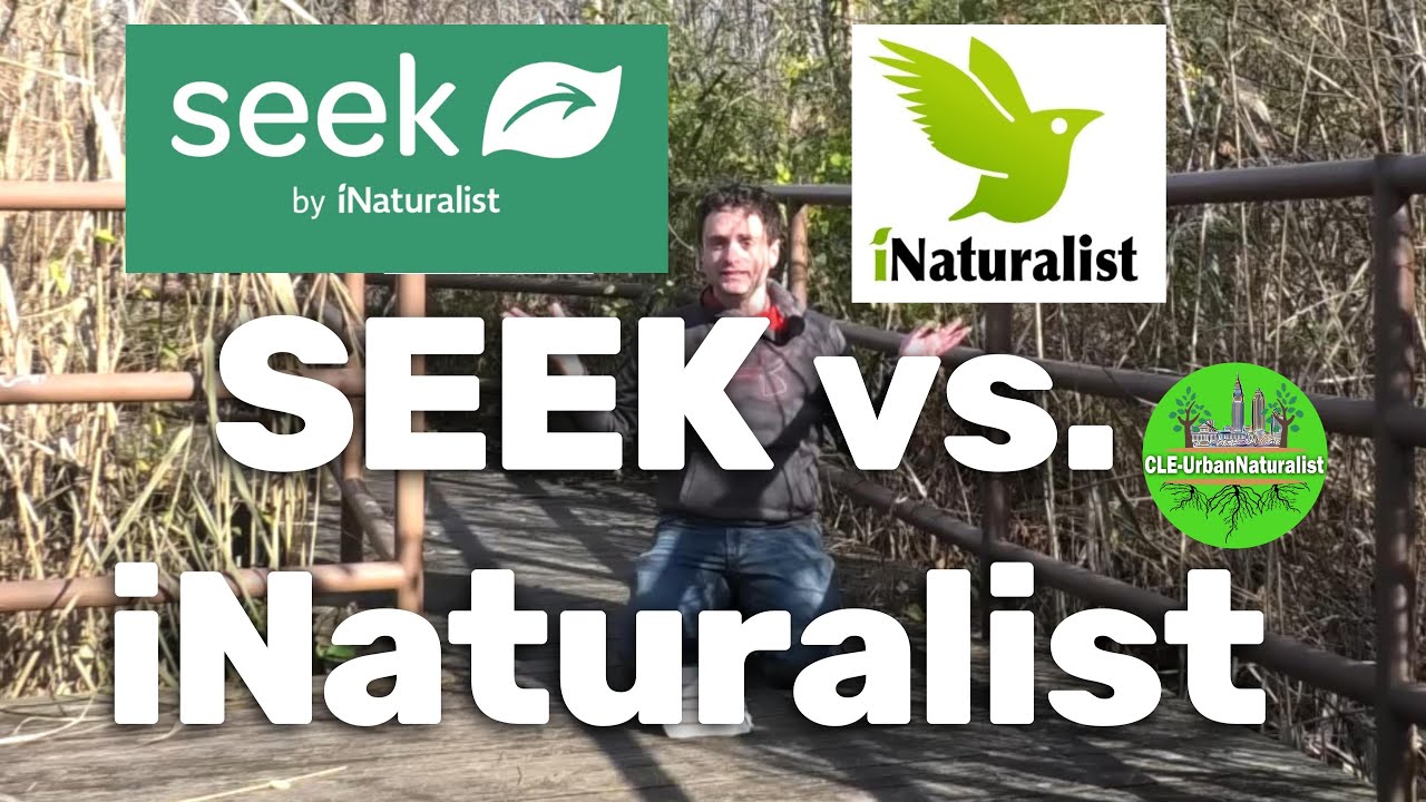 SEEK  vs. iNaturalist