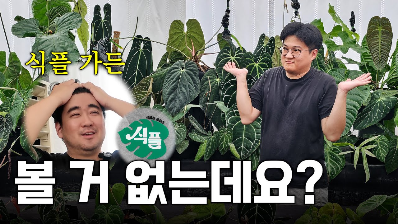 대신 살 게 많음🤭 ㅣ 지금 당장 달려가세요🏃‍♂️ ㅣ식플 가든 개방 행사 다녀왔습니다