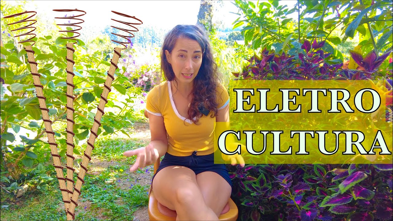 ELETROCULTURA: hay ciencia por detrás?