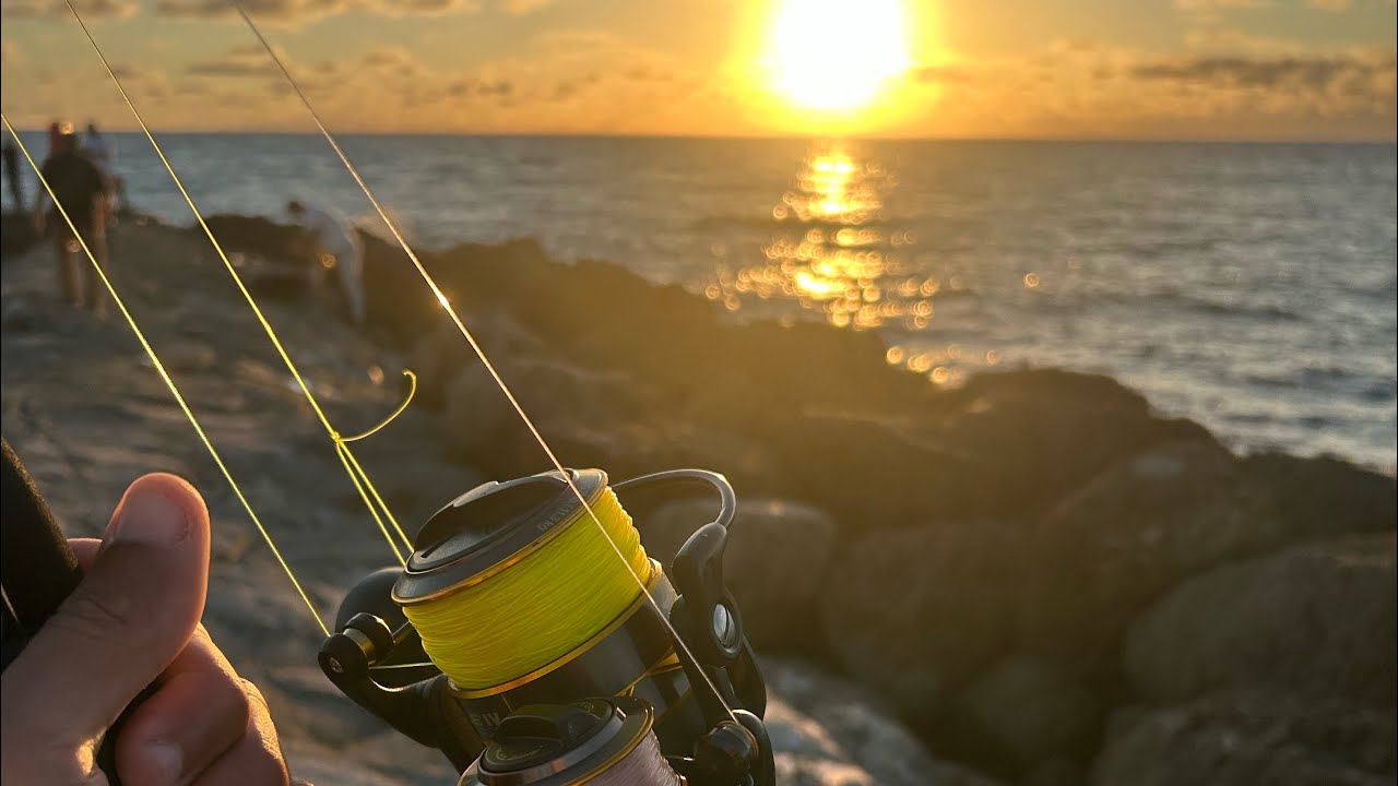 Saturday Morning Fishing with the ocean angler