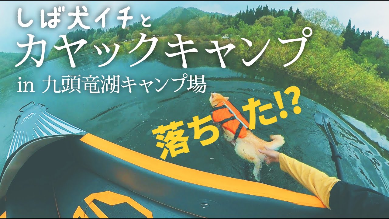 [Vlog］柴犬イチとカヤックキャンプin福井県九頭竜キャンプ場