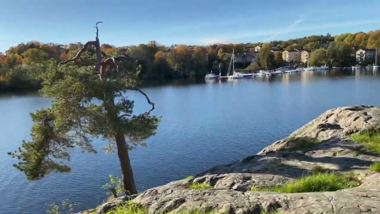 Stockholm walks. A nice sunny day, a park, rocks, and water. A walk without speaking 