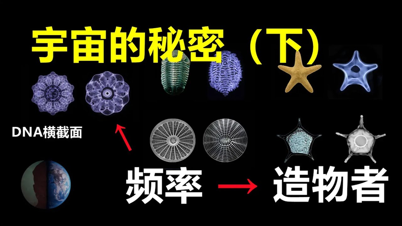 万物起源的秘密，宏观微观世界都是由频率衍生出来？