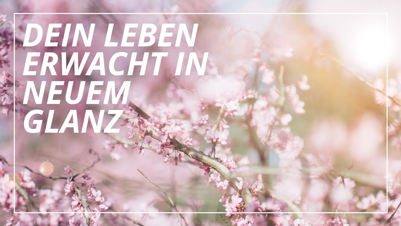 Fantasiereise: Neubeginn im Frühling
