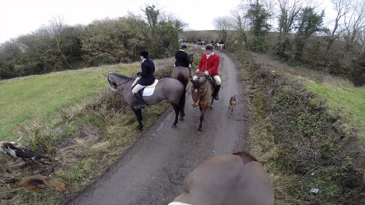 Equestrian Foxhunting in Ireland 2014