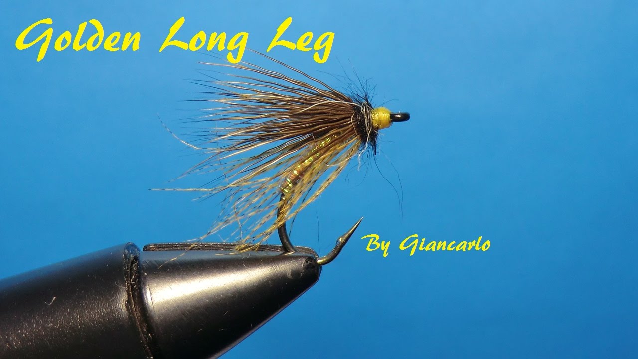 GOLDEN LONG LEG by Giancarlo