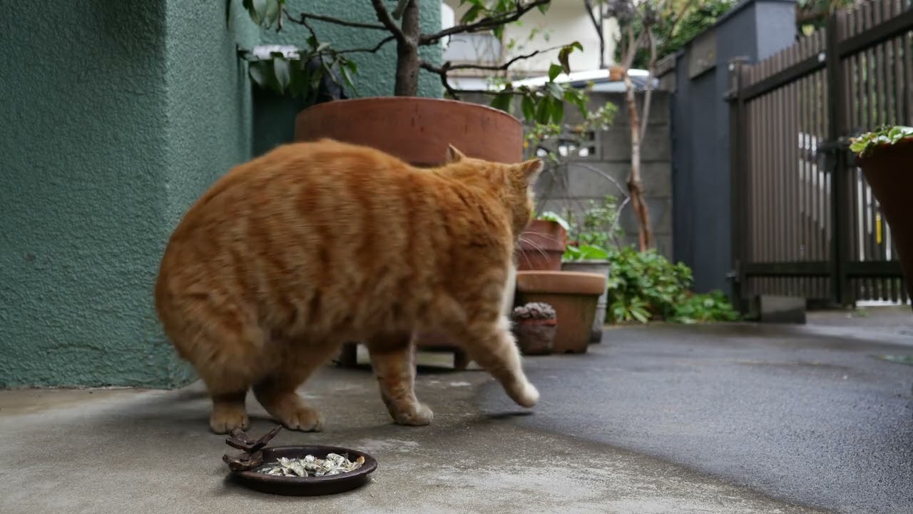2026年03月16日07時43分
