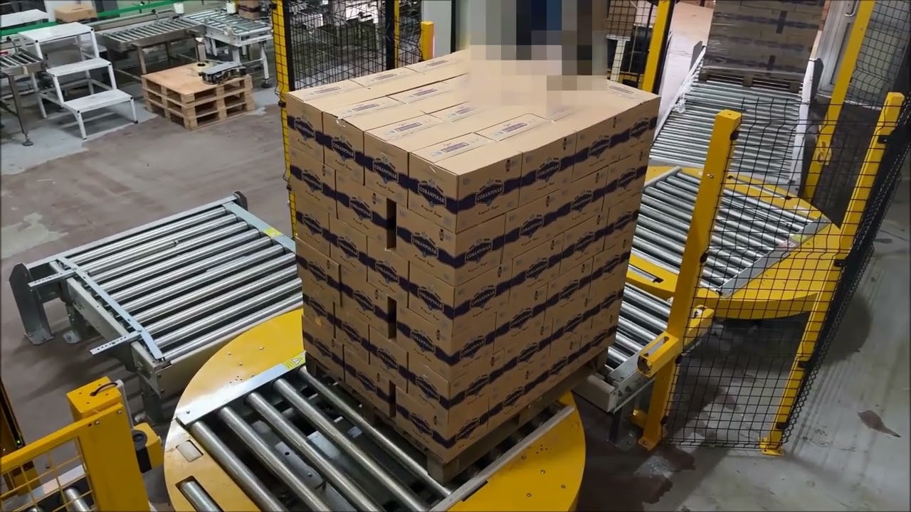 Cup Water Filling Lines Palletizing System + Full Automatic Stretch Wrapper With Rotating Platform