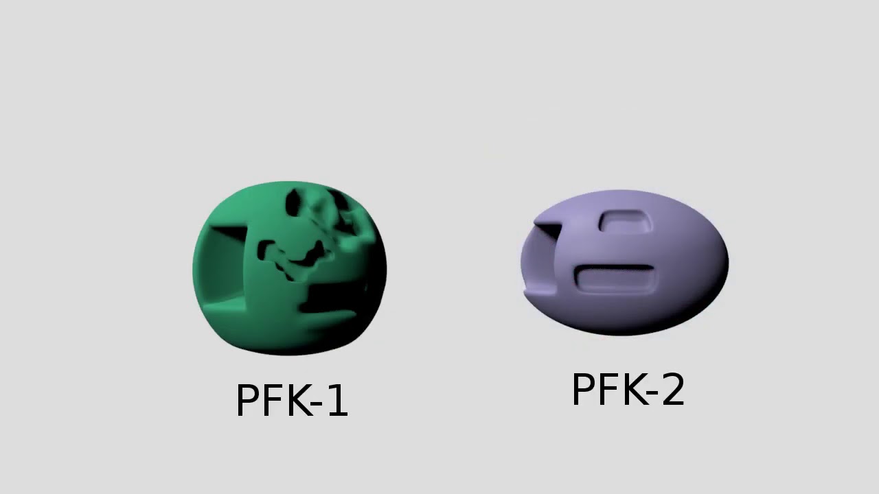 Phosphofructokinase II - Function and Regulation