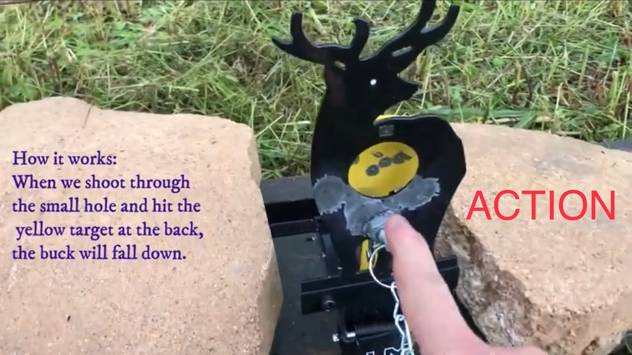 Hatsan Bullboss .25 cal vs Umarex drop shot target.  ACTION.!