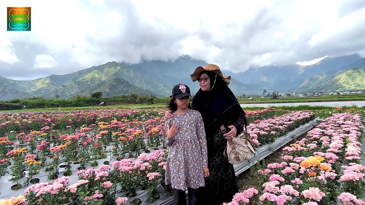 Kebun Bunga Sembalun Lombok