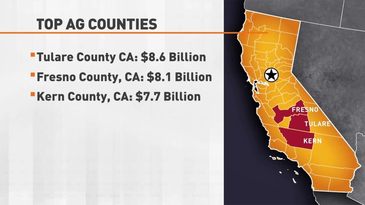 Tulare County, California: Leading the Nation in Agricultural Production