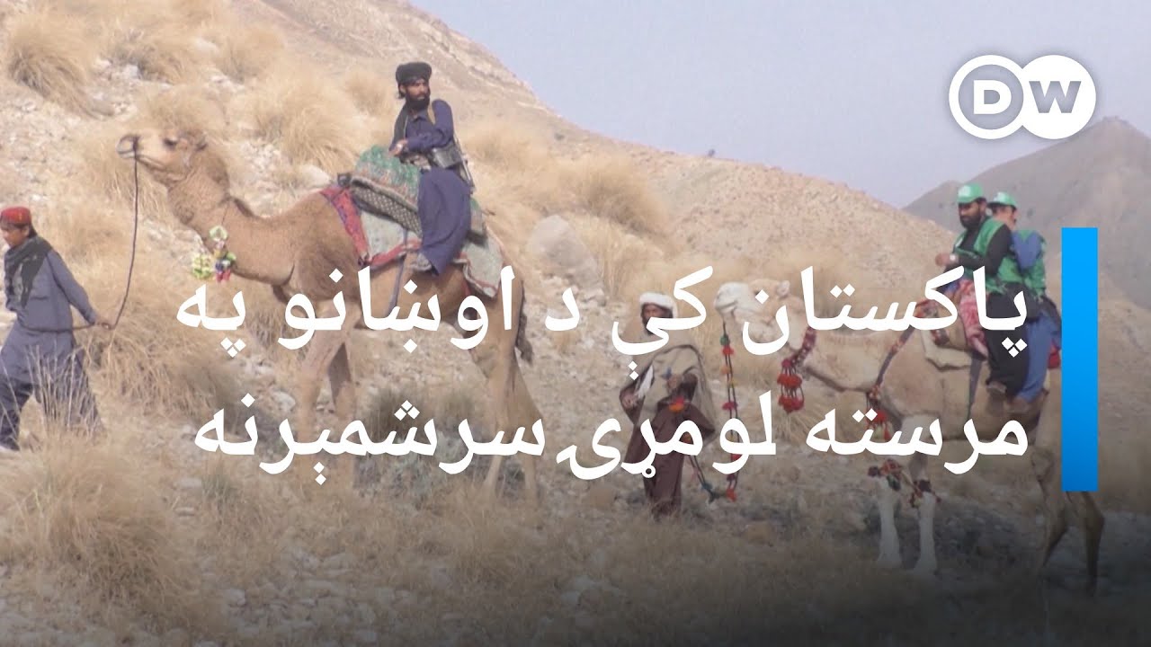 پاکستان کې د اوښانو په مرسته لومړنۍ سرشمېرنه