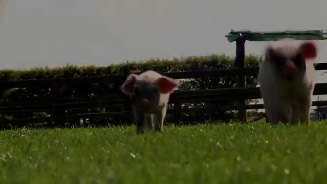 Countryfile - A Celebration of the Seasons full Trailer
