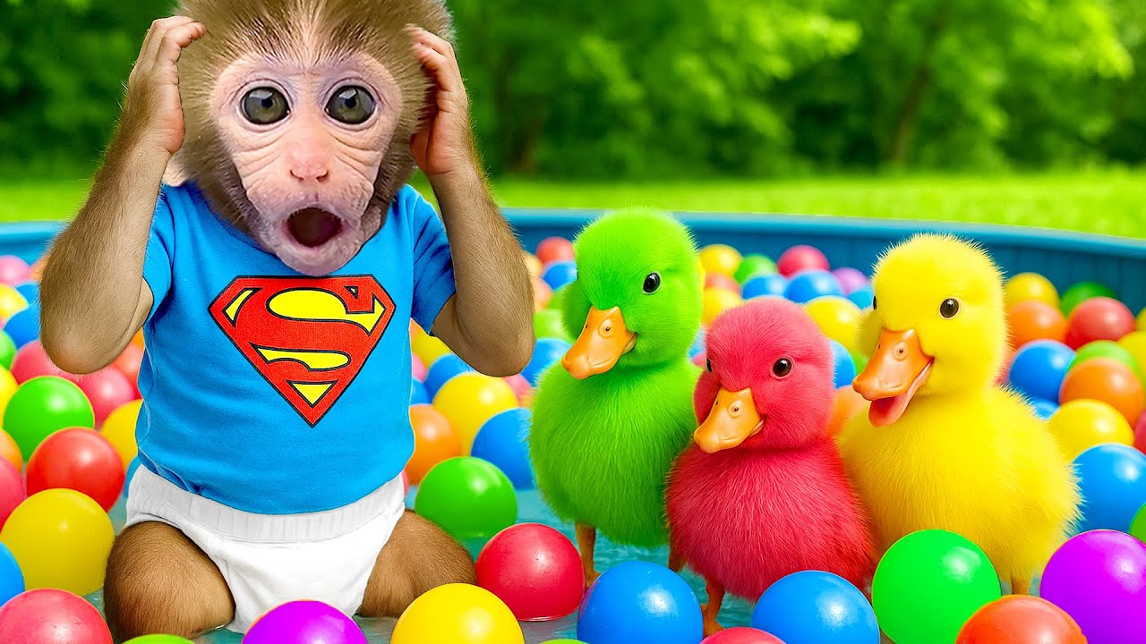 Affe BonBon bem&uuml;ht sich, Sport zu treiben, um so stark wie ein Superheld zu werden - HT Tierwelt