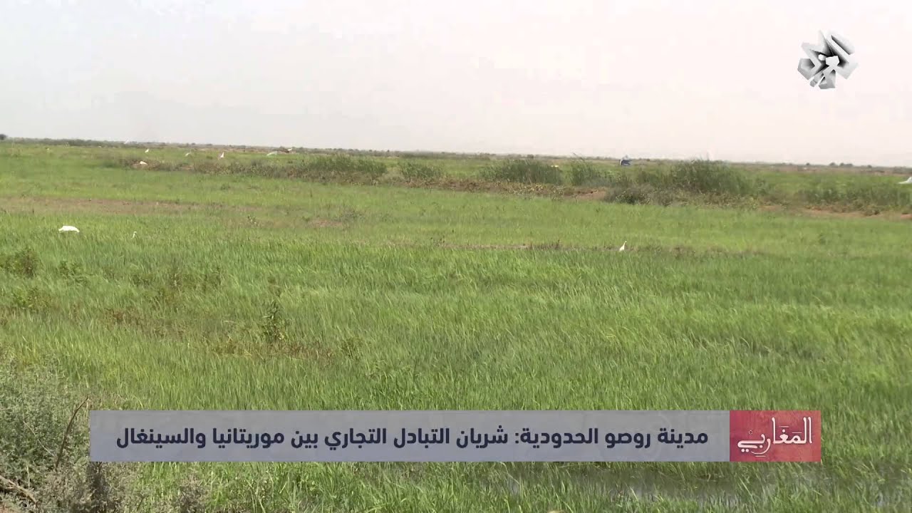 المغاربي | مدينة روصو الحدودية شريان التبادل التجاري بين موريتانيا والسينغال