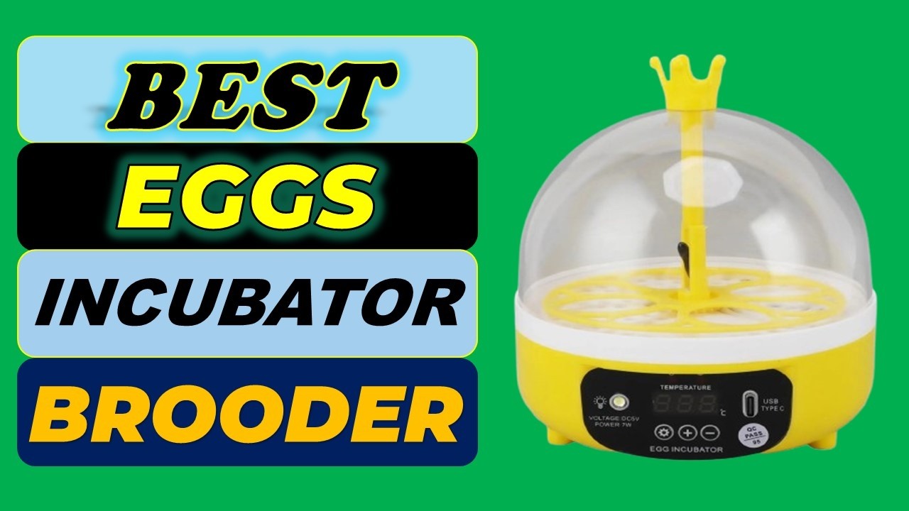 Top 5 Best Eggs Incubator Brooder in 2026 | From Aliexpress