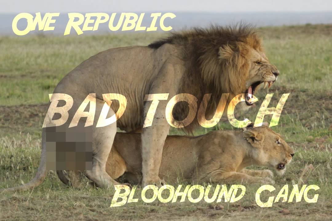 One Republic / Bloodhound Gang - Bad Touch / Counting Stars Mix