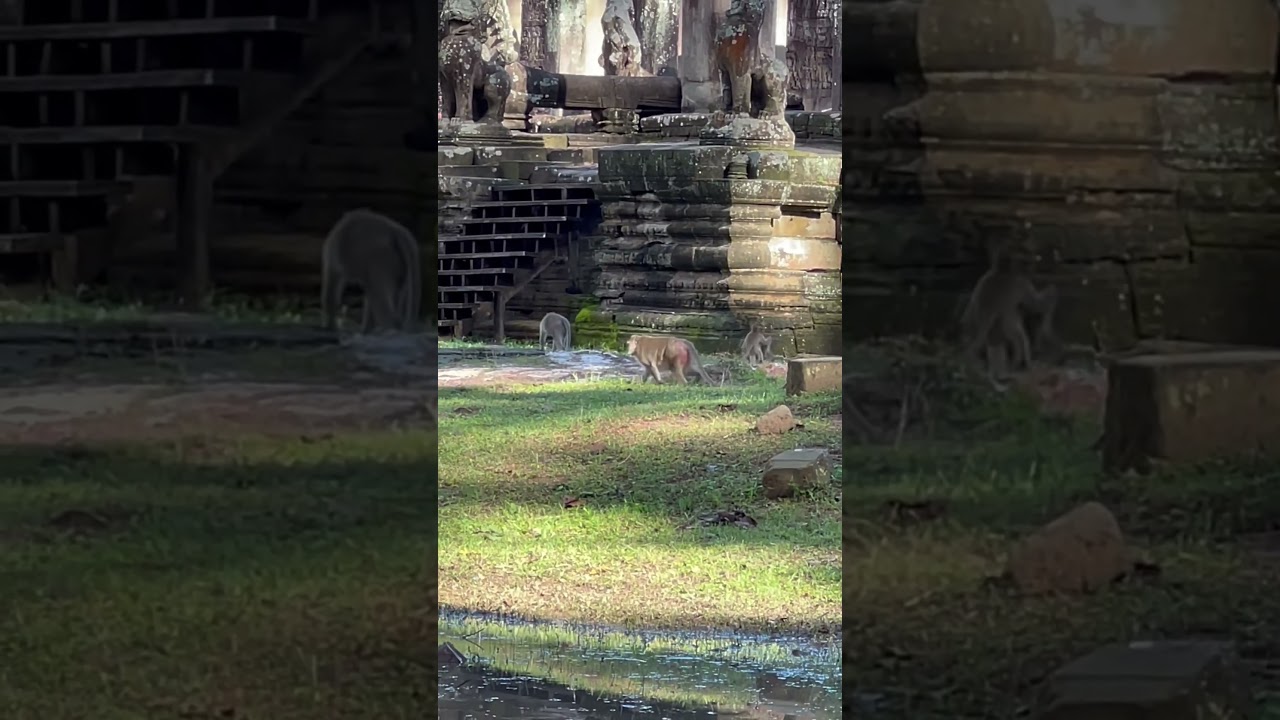 Life at Angkor Thom 