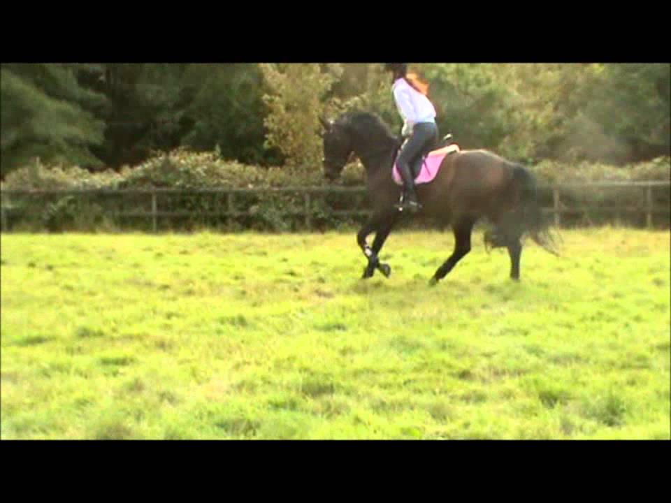 rene's first ever time jumping a short course!