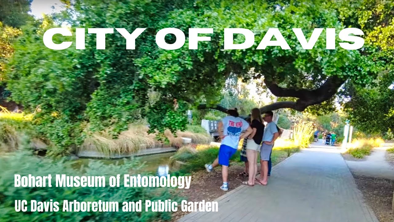 Bohart Museum of Entomology, UC Davis Arboretum and Public Garden | Part 3 of 3 | Davis CA