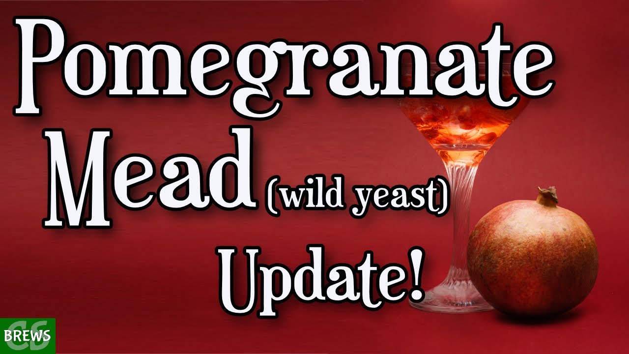 Pomegranate Wild Yeast Mead Update - How You Doin?