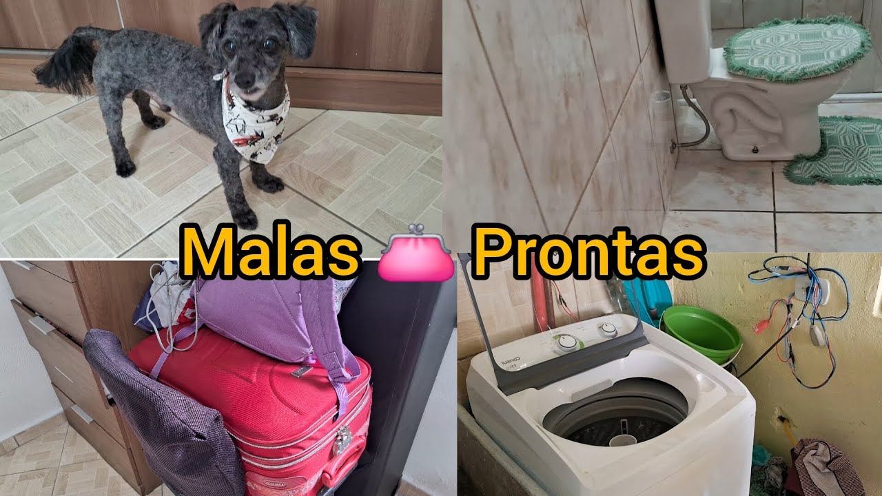 💕Tosa e Banho do Toy 🐶 | Primeira Faxina de 2026 + Malas Prontas para a Viagem👛