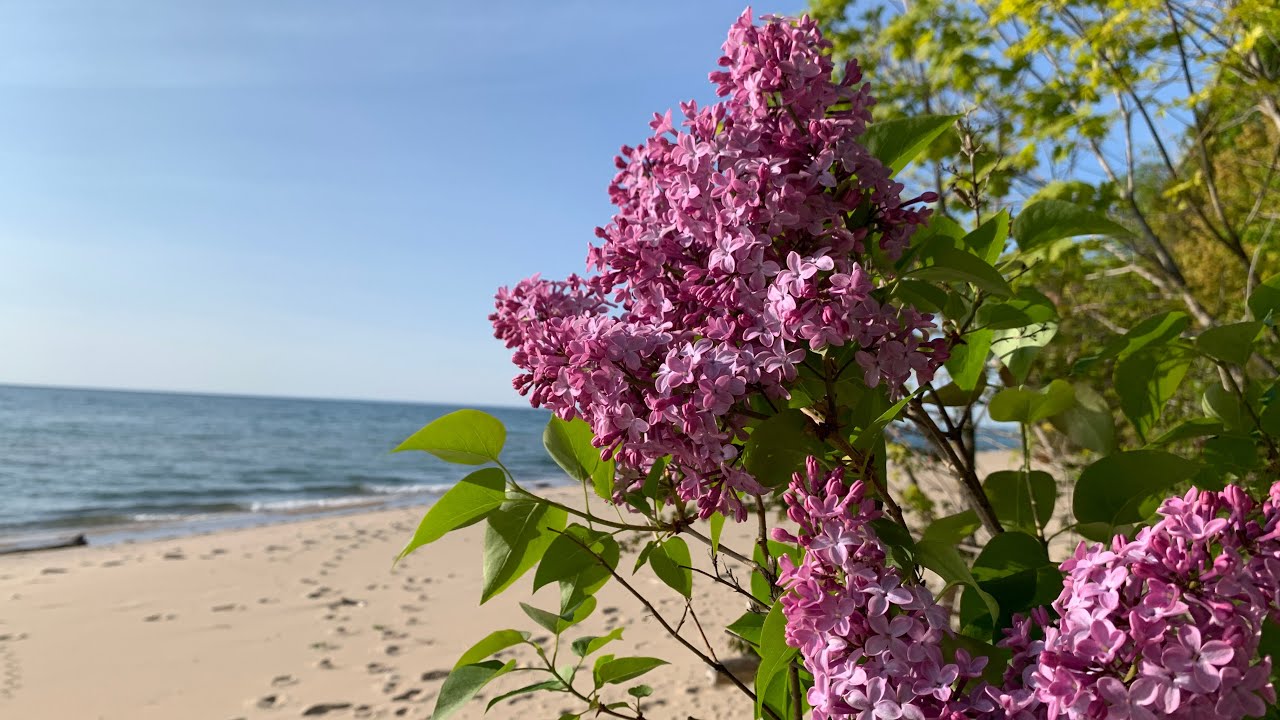 Orchard Beach State Park | Manistee Michigan